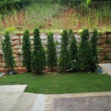 A1 Bangjak Sriracha จัดสวนปั้มบางจากศรีราชา(4)