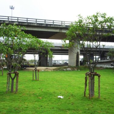 A1 highway road จัดสวนทางหลวง(3)