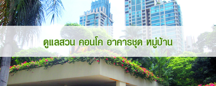 ดูแลสวน คอนโค อาคารชุด หมู่บ้าน