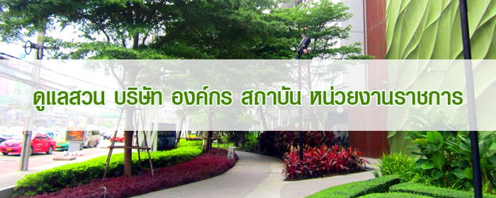 ดูแลสวน บริษัท องค์กร สถาบัน หน่วยงานราชการ