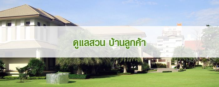 ดูแลสวน บ้านลูกค้า